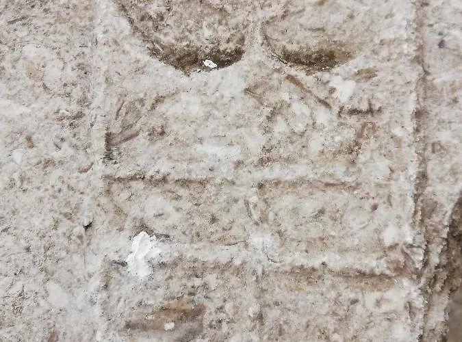 Lägenhet Day Use Polla